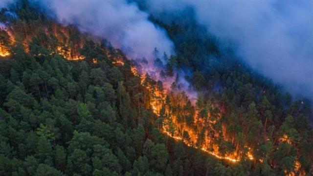 حرائق الغابات بألمانيا