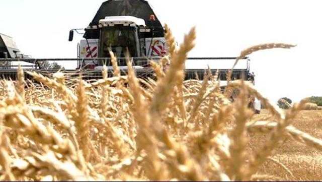 العراق يعتمد آليات جديدة لاستيراد القمح