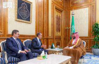 ولي العهد السعودي يتسلم رسالة خطية لخادم الحرمين الشريفين من الرئيس السيسي